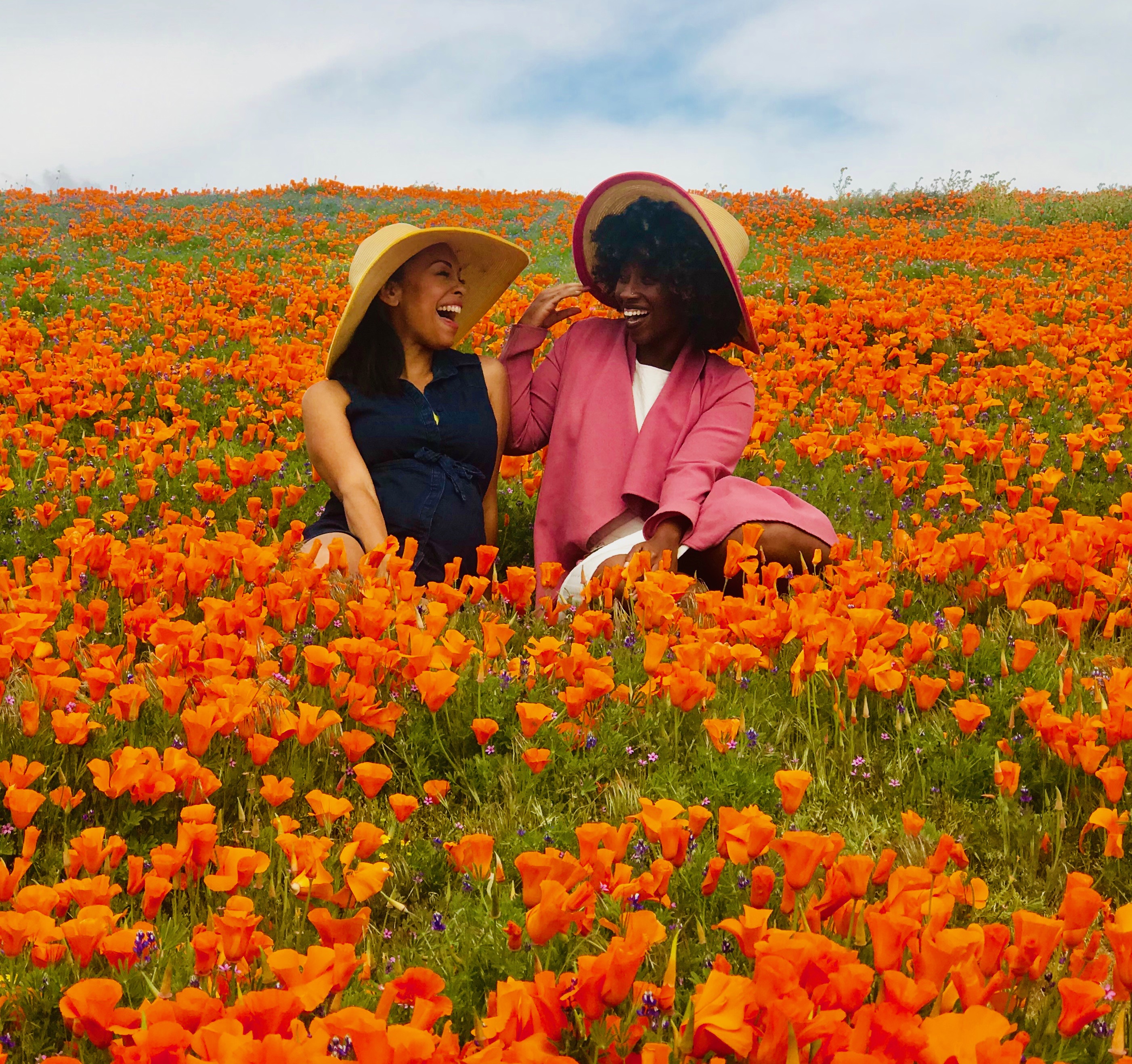 Poppies Super Bloom